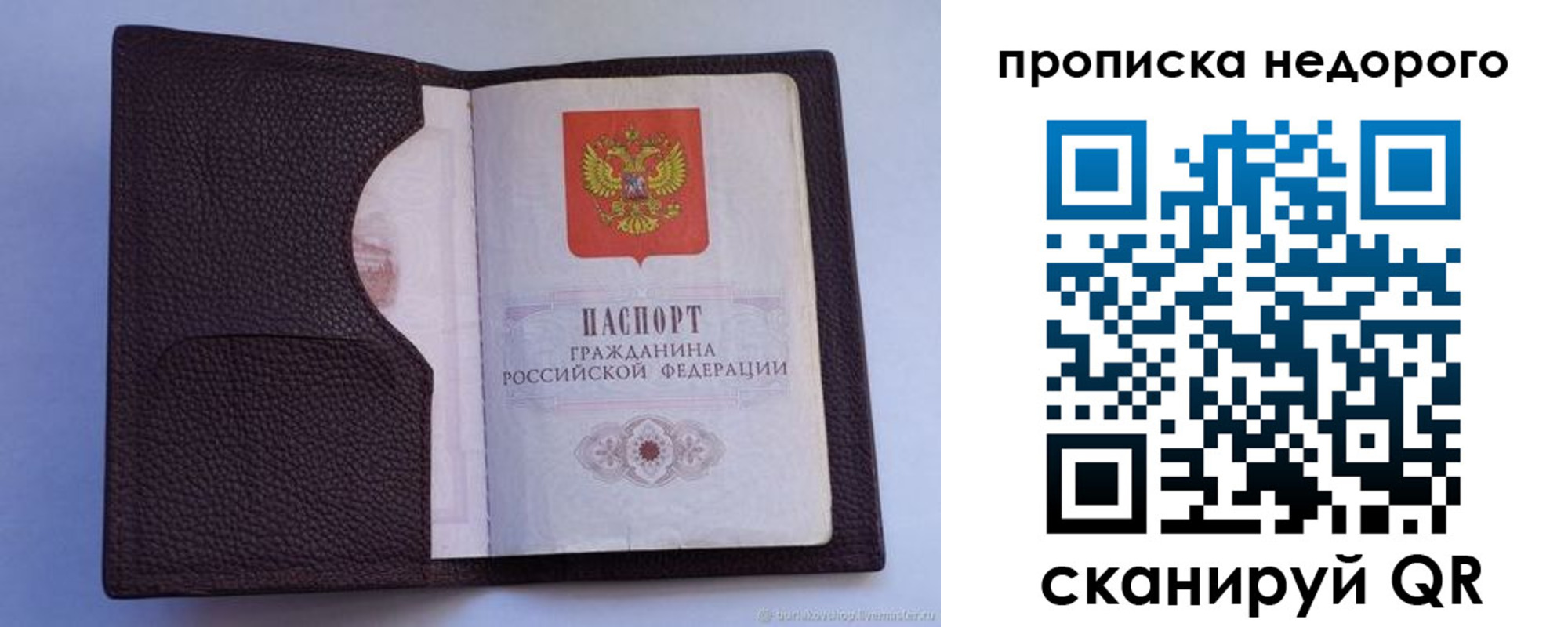 прописка законно в Шумихе